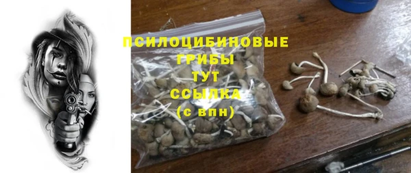 не бодяженный Каменск-Шахтинский
