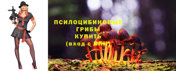 прущая мука Каменка