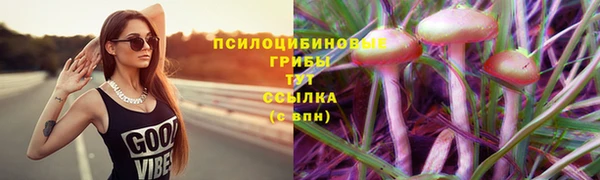 гидра Инсар