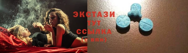 гидра Инсар