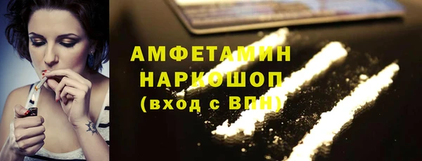 гидра Инсар