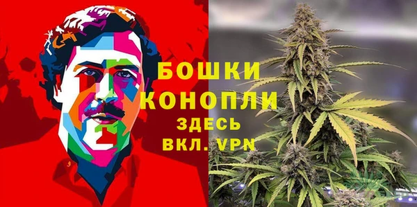 круглые Каменногорск