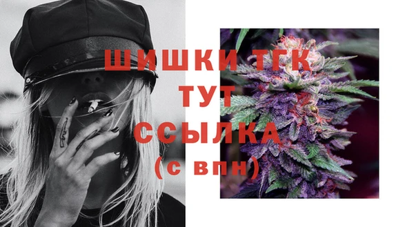 прущая мука Каменка