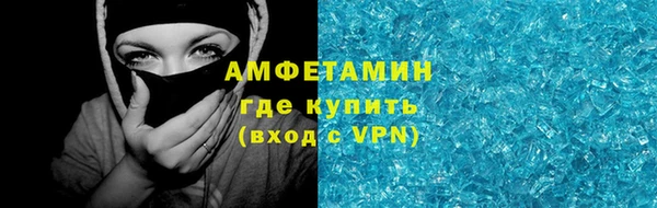 гидра Инсар